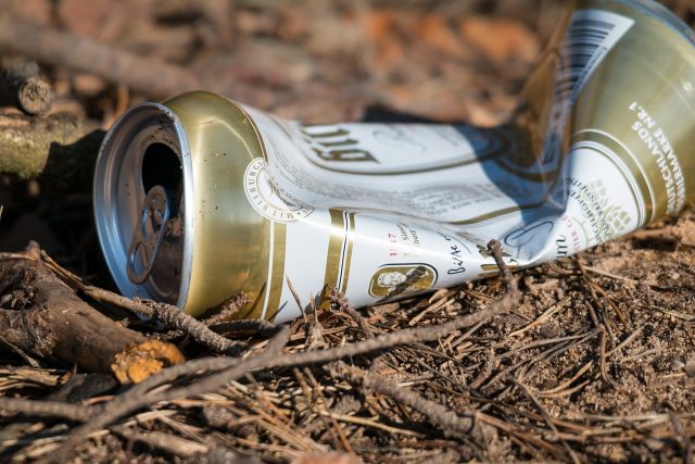 Odpadky v přírodě - plechovka od piva  (ilustrační foto) | foto: Fotobanka Pixabay