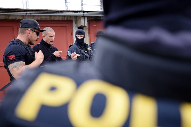 Policie si na Rychnovsku posvítila na cizince  (ilustrační foto) | foto: Honza Ptáček,  Český rozhlas
