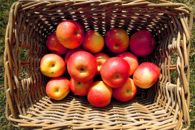 Jablka budou letos zřejmě dražší než mandarinky nebo i banány  (ilustrační foto) | foto:  pixabay.com