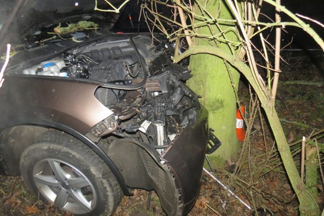 Řidiče na Jičínsku měla překvapit lesní zvěř. Strhl řízení a narazil do stromu | foto: Policie České republiky