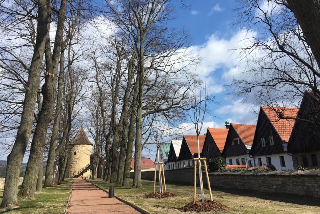 Bývalý obranný val s lipovou alejí na novoměstském zámku bude zpřístupněn | foto: Romana Joudalová,  Český rozhlas