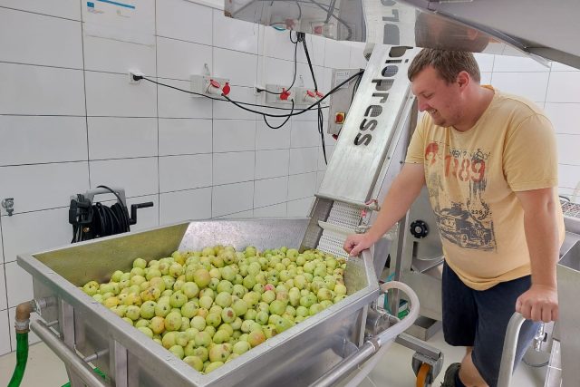 Výroba moštu z jablek  (ilustrační foto) | foto: Gabriela Hykl,  Český rozhlas