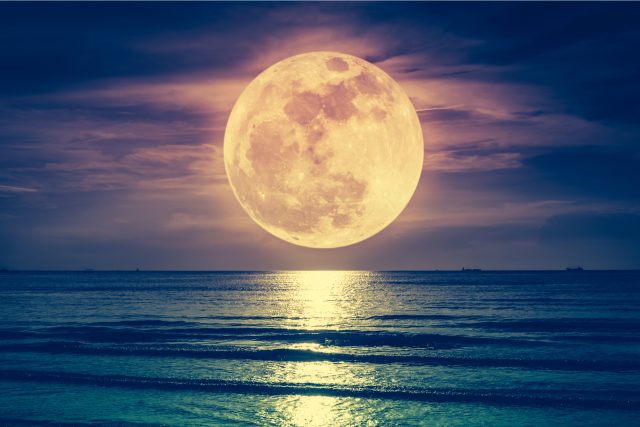 Co všechno víte o Měsíci? | foto: Shutterstock