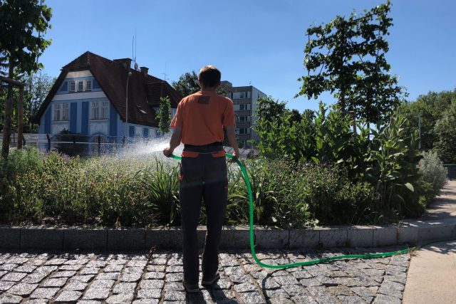 Ve Vrchlabí zalévají denně městskou zeleň | foto: Kateřina Kohoutová,  Český rozhlas