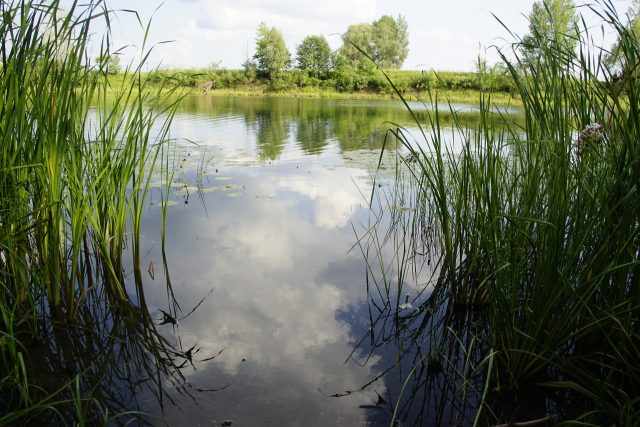 Nechceme mít jen krajinný plán,  ale obnovit malý vodní režim republiky,  říká ekolog Jiří Malík  (ilustrační foto) | foto: Fotobanka Pixabay