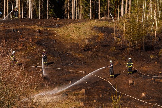 Požárů v přírodním prostředí přibývá | foto: HZS Královéhradeckého kraje