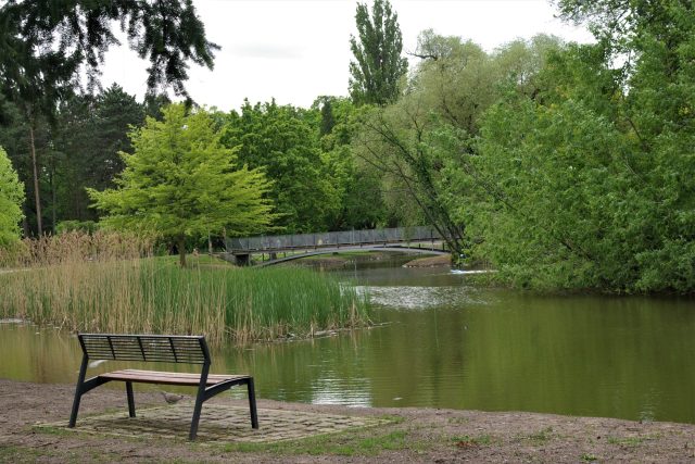 Klidnou vodní oázu ocení návštěvníci i v parných dnech | foto: Vladislava Wildová,  Český rozhlas