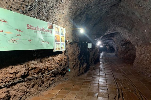 Správa dělostřelecké tvrze Stachelberg na Trutnovsku připravuje podzemí pro návštěvníky | foto: Jana Házová,  Český rozhlas