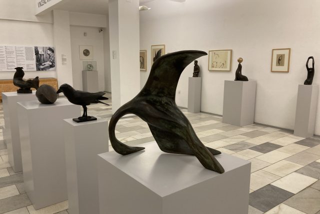 V náchodské Galerii výtvarného umění byla otevřena výstava: Vincenc Vingler ZOO | foto: Romana Joudalová,  Český rozhlas