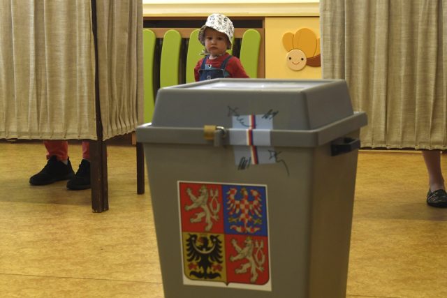 Volby do Evropského parlamentu | foto: Michal Krumphanzl,  ČTK
