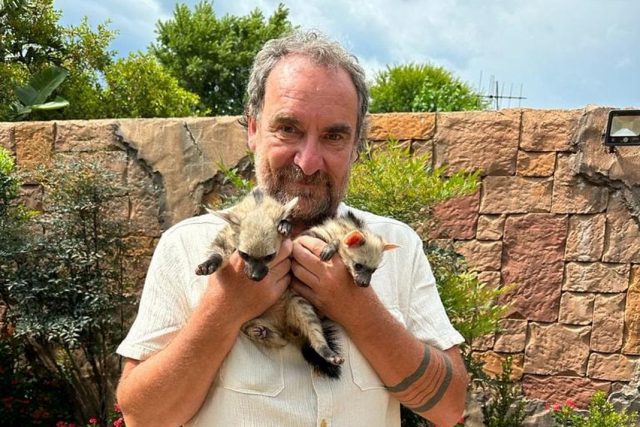 Ředitel dvorského safari parku Přemysl Rabas při veterinární kontrole hyenek,  které se později povedlo získat pro zoo | foto: Safari Park Dvůr Králové