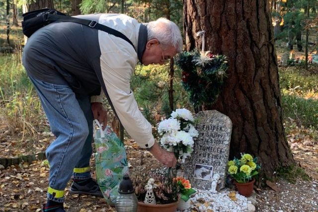 Zvířecí hřbitov v Hradci Králové je jediný v kraji. Pohřbeni jsou na něm nejrůznější domácí mazlíčci | foto: Václav Plecháček,  Český rozhlas