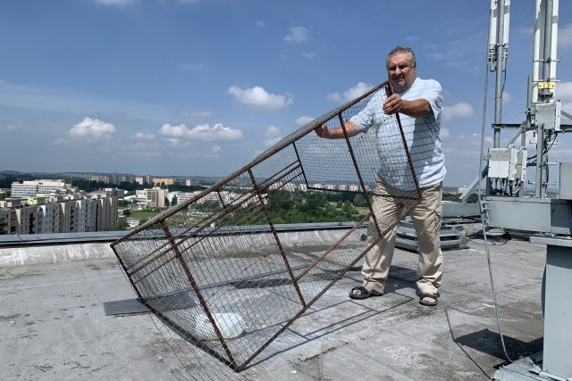 Lumír Štěpán instaluje odchytovou klec na holuby na střeše jednoho z domů v Hradci Králové | foto: Ondřej Vaňura,  Český rozhlas