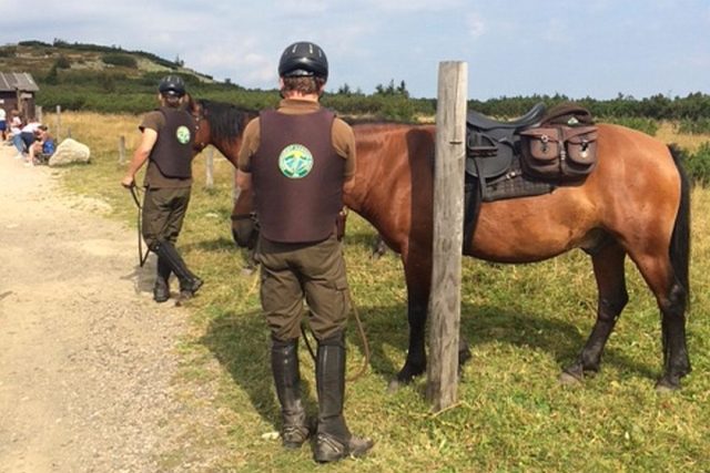 Strážci Krkonošského národního parku se vydávají na pochůzky také na koních | foto: Kateřina Kohoutová,  Český rozhlas