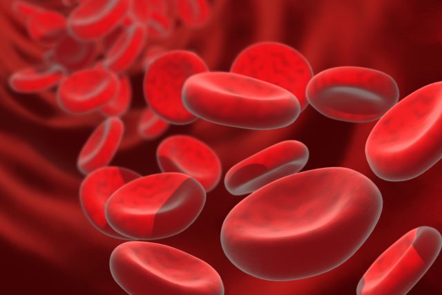 Krvinky v počítačové simulaci  (ilustrační foto) | foto: Shutterstock