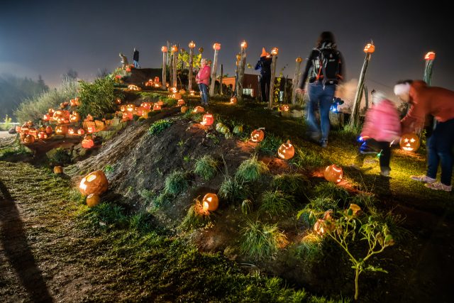 Dýňová výzdoba Safari Parku Dvůr Králové | foto: Helena Hubáčková,  Safari Park Dvůr Králové