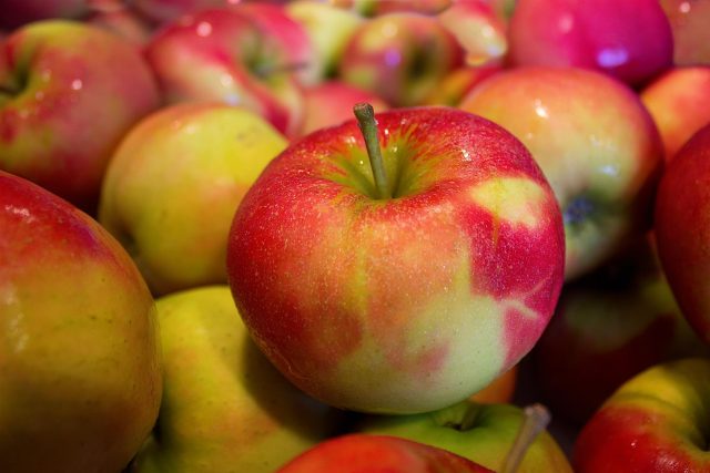 Na ovoce mají speciální skladovací haly s minimem kyslíku v ZD Dolany  (ilustrační foto) | foto: Fotobanka Pixabay