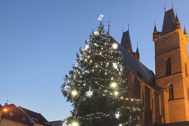 Patnáctimetrový vánoční strom už nádherně svítí na Velkém náměstí v Hradci Králové | foto: Pavla Kindernayová,  Český rozhlas