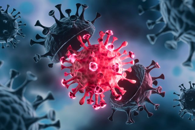 Mutace viru | foto: Shutterstock