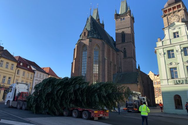 Hradec Králové už zdobí dva velké vánoční stromy | foto: Michaela Vančurová,  Český rozhlas