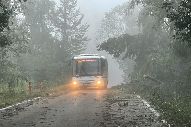 Bouře v Královéhradeckém kraji lámala stromy,  hasiči měli 120 výjezdů | foto: Martin Pařízek,  Český rozhlas