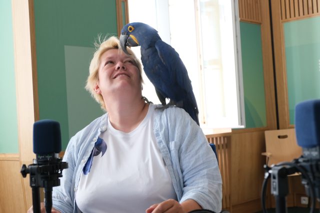 Záchranná stanice Sunny days z Králík u Nového Bydžova vzala pod svá křídla už přes 70 papoušků | foto: Milan Baják,  Český rozhlas