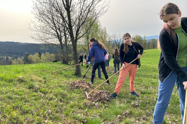 Žáci z Vrchlabí a okolí vyráží na jaře místo výuky hrabat horské louky v Krkonoších | foto: Kateřina Kohoutová,  Český rozhlas