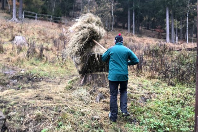 V Krkonoších se už jelení obůrky připravují na zimu | foto: Kateřina Kohoutová,  Český rozhlas