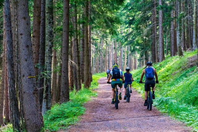 Majitelé některých lesů pravděpodobně od nového roku zakáží vjezd cyklistům na lesní cesty  (ilustrační foto) | foto: Fotobanka Pixabay