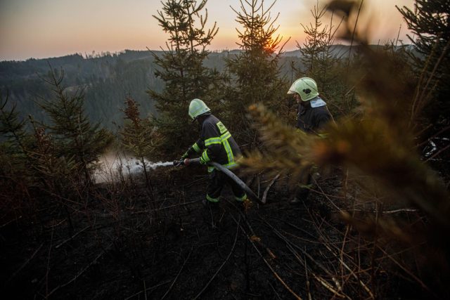 10 jednotek hasičů i policejní vrtulník likvidovalo na Náchodsku velký požár lesa | foto: HZS KHK/Michal Fanta