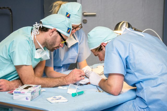 Operační sály | foto: Lékařská fakulta v Plzni Univerzity Karlovy
