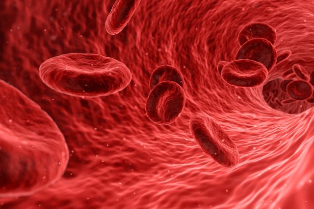 Z krve se dá zjistit obrovské množství informací,  říká profesor Pavel Žák  (ilustrační foto) | foto: Arek Socha,  Pixabay,  CC0 1.0