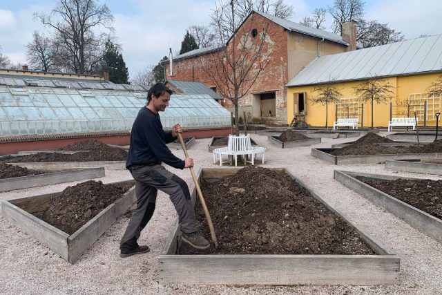 V Domově svatého Josefa v Žirči začala obnova vyhlášené bylinkové zahrady | foto: Jana Házová,  Český rozhlas