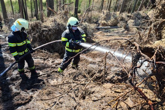 Rady hasičů,  jak nezpůsobit požár v přírodě a neohrozit sebe ani ostatní | foto: HZS Královéhradeckého kraje