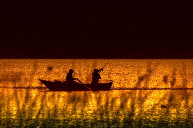 Kambodžskému rybáři se podařilo ulovit v řece Mekong největší dosud známou sladkovodní rybu  (ilustrační foto) | foto: Pixabay