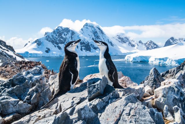 Účastníkům vědeckých výprav do Antarktidy se kontinent mění doslova před očima  (ilustrační foto) | foto: Shutterstock