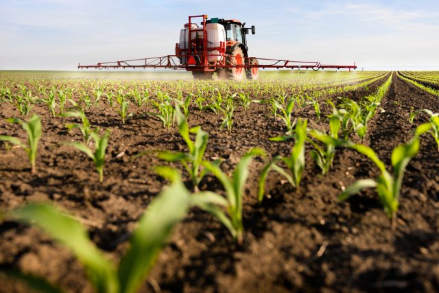 S dlouhodobou ztrátovostí není nikdo ze zemědělců schopný hospodařit  (ilustrační foto) | foto: Shutterstock