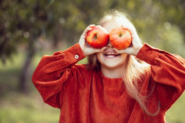 Co všechno se dá na podzim udělat z jablek? | foto: Shutterstock