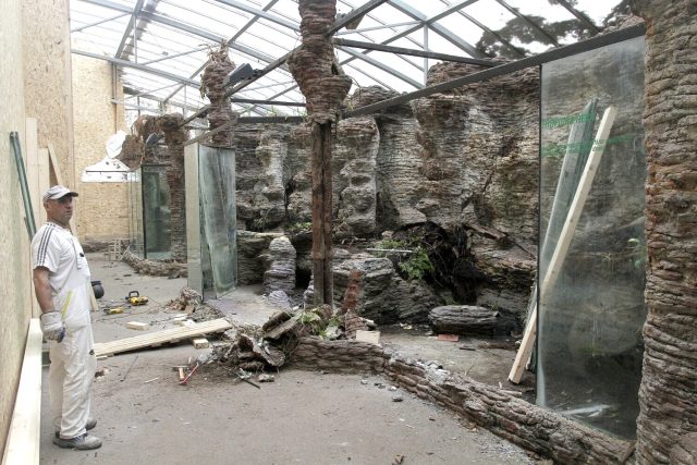 Největší prostory nejstaršího pavilonu Safari Parku Dvůr Králové právě procházejí změnami | foto: Simona Jiřičková