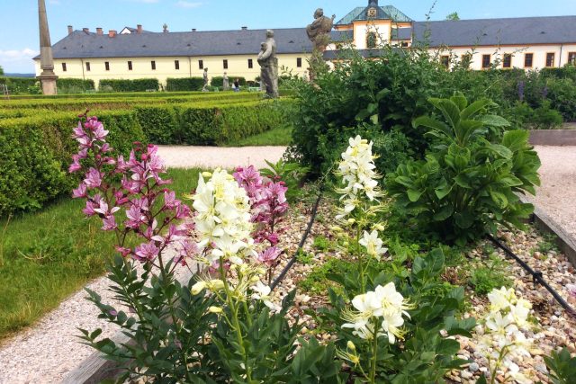 Bylinková zahrada v areálu hospitalu na Kuksu | foto: Jiří  Pirner