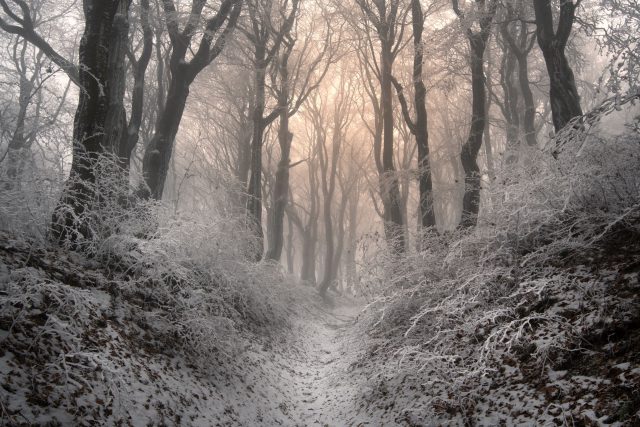 Každá má fotografie je dotek okamžiku... V každé z nich je kousek mne | foto: Pavla Kurková