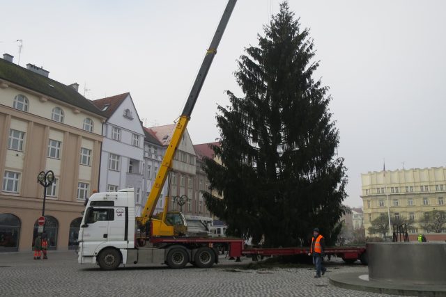 Přeprava a instalace vánočního stromu v Hradci Králové | foto: Milan Baják,  Český rozhlas