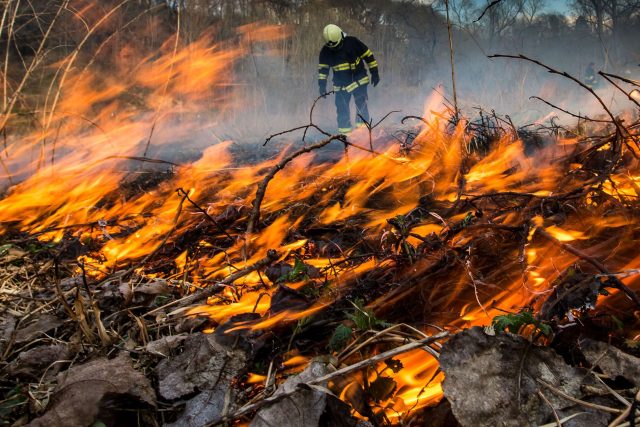 Požár lesa | foto: HZS Královéhradeckého kraje