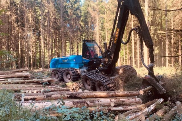 Část lesů v CHKO Broumovsko zasáhla letos kůrovcová kalamita nevídaných rozměrů | foto: Václav Plecháček,  Český rozhlas