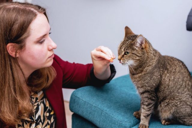 Kočičí polepšovna! Životní vášní Kateřiny Štiblické je pomáhat kočkám a lidem nacházet společnou řeč | foto: archiv Kateřiny Štiblické