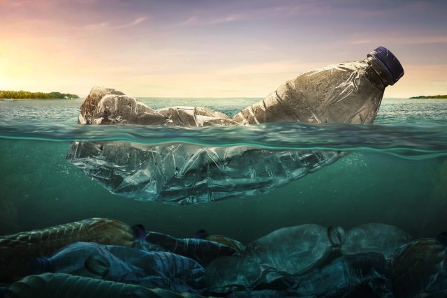 Vědci z Brna chtějí využít k vyčištění oceánů sinice požírající plasty  (ilustrační foto) | foto: Shutterstock