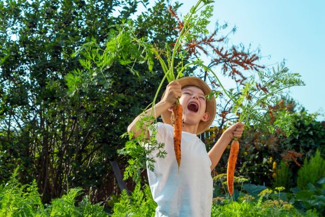 Téměř polovina Čechů si pěstuje ovoce a zeleninu na svých zahradách  (ilustrační foto) | foto: Shutterstock