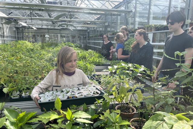 Hradečtí farmaceuti učí děti pěstovat byliny a zeleninu | foto: Pavla Kindernayová,  Český rozhlas