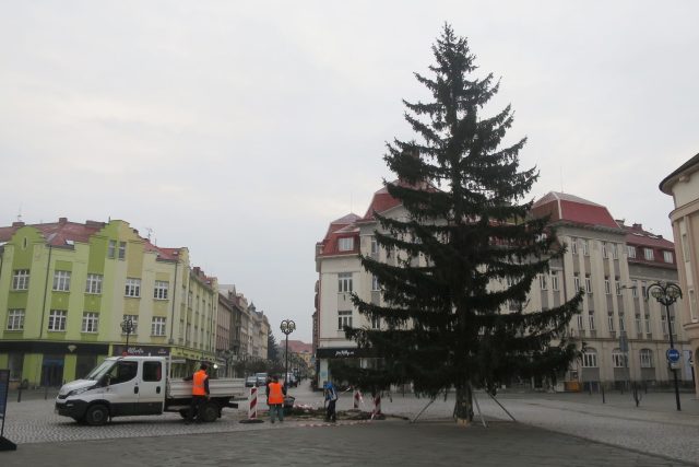 Na Masarykově náměstí v Hradci Králové už stojí vánoční strom | foto: Milan Baják,  Český rozhlas