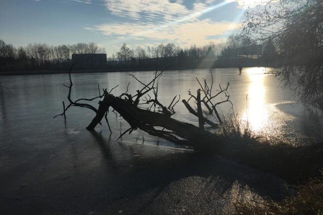 Led,  zamrzlý rybník,  zima,  slunce,  mráz. Ilustrační foto | foto: Martin Pokorný,  Český rozhlas